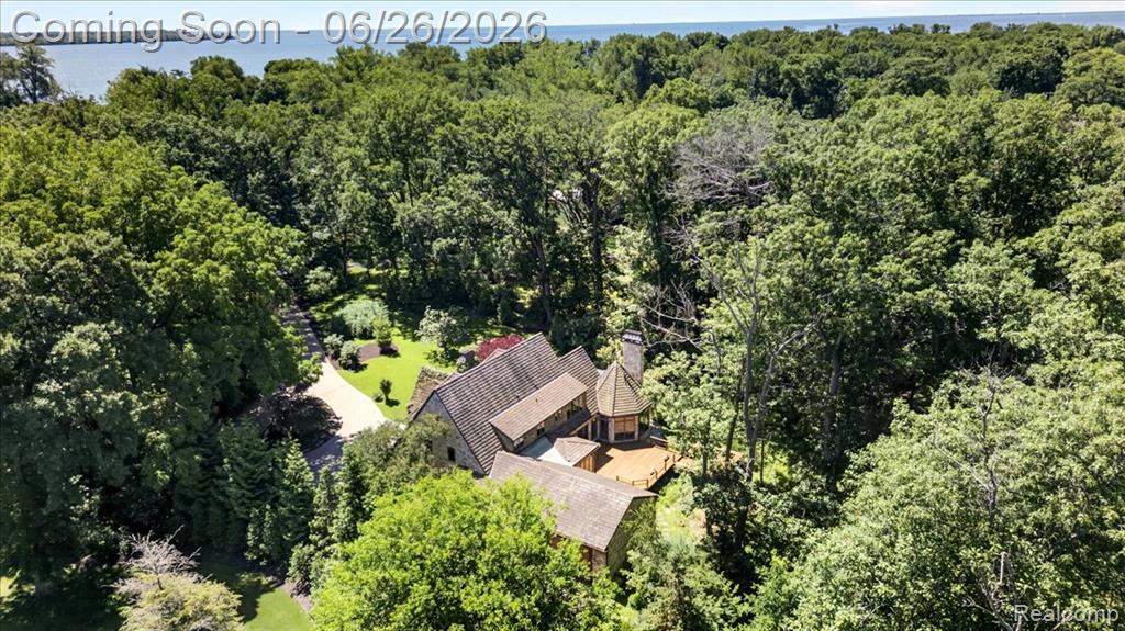 29498 E River Road, Grosse Ile, MI 48138 — Photo 59