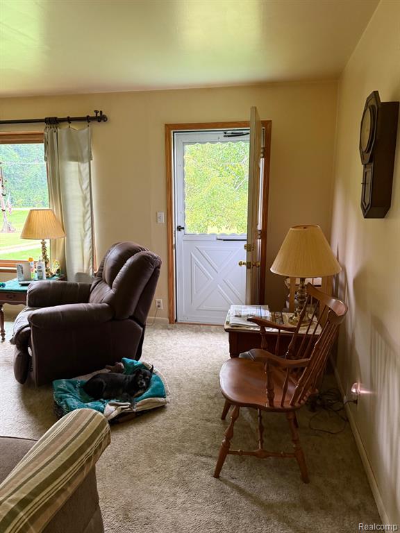 3040 Millville Road, Lapeer, MI 48446 — Photo 9