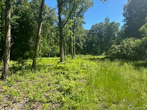 44735 Dunn Road, Belleville, MI 48111 — Photo 3