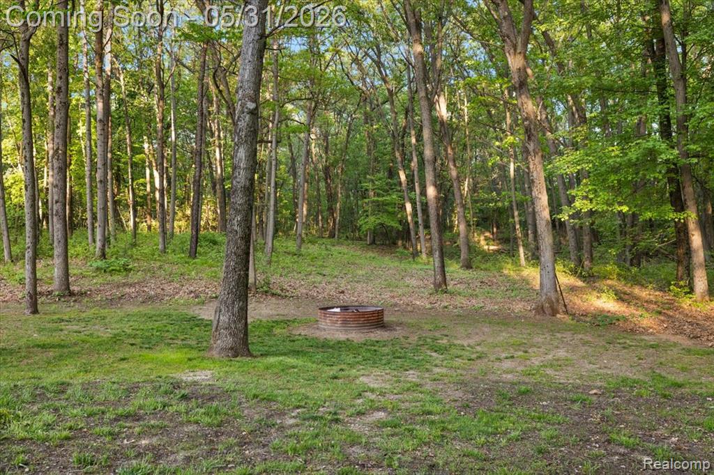 500 Hawk High Hill Road, Metamora, MI 48455 — Photo 11