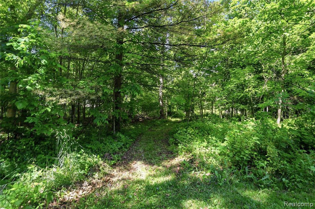 14830 County Line Road, Byron, MI 48418 — Photo 48