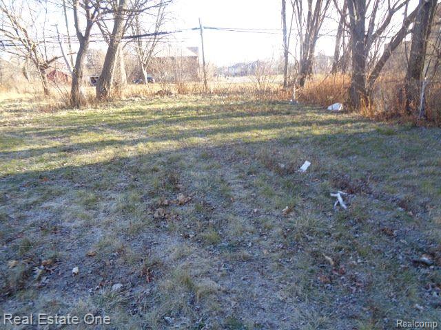 18088 PELKEY Street, Detroit, MI 48205 — Photo 3
