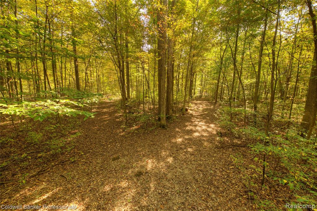 2782 Gravel Creek Road, North Branch, MI 48461 — Photo 45
