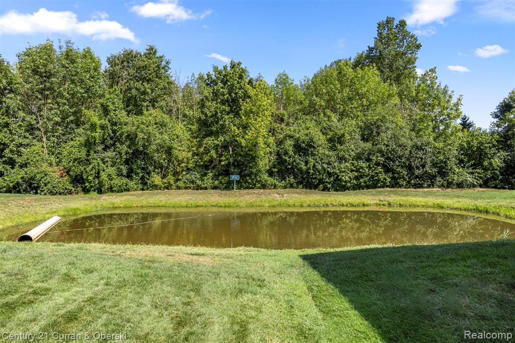 23311 Redman Court, 35, Trenton, MI 48183 — Photo 20
