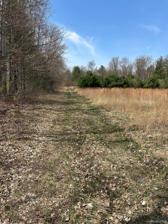 4215 JOSHUA Road, Cass City, MI 48726 — Photo 12