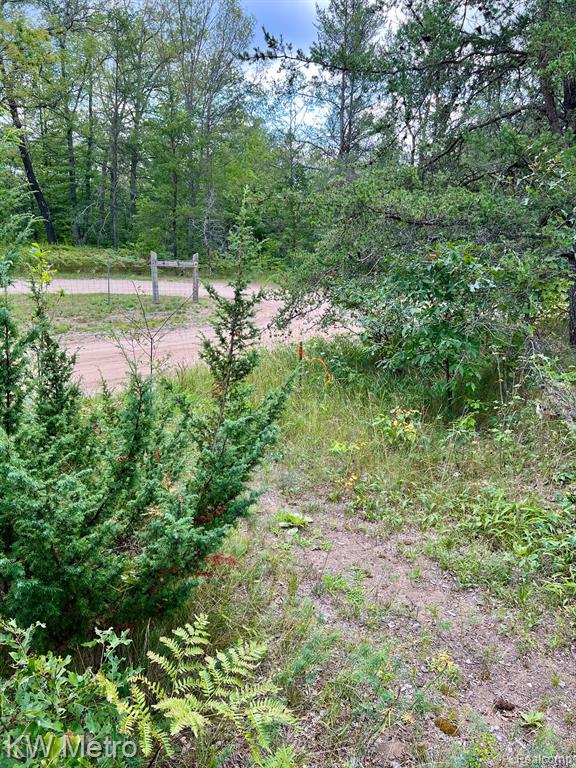 6629 S Tampa, Idlewild, MI 49642 — Photo 9