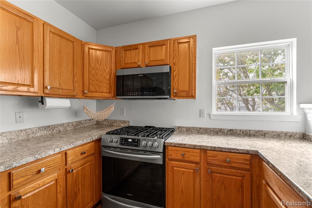 1183 Freesia Court, Ann Arbor, MI 48105 — Photo 17