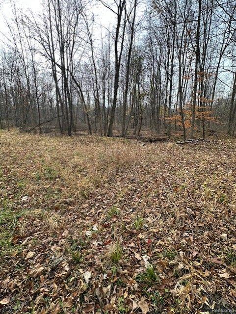 8438 JORDAN Road, Grand Blanc, MI 48439 — Photo 15