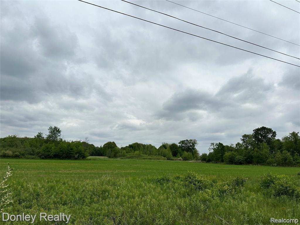 V/L Warner Road, MI 48729 — Photo 4