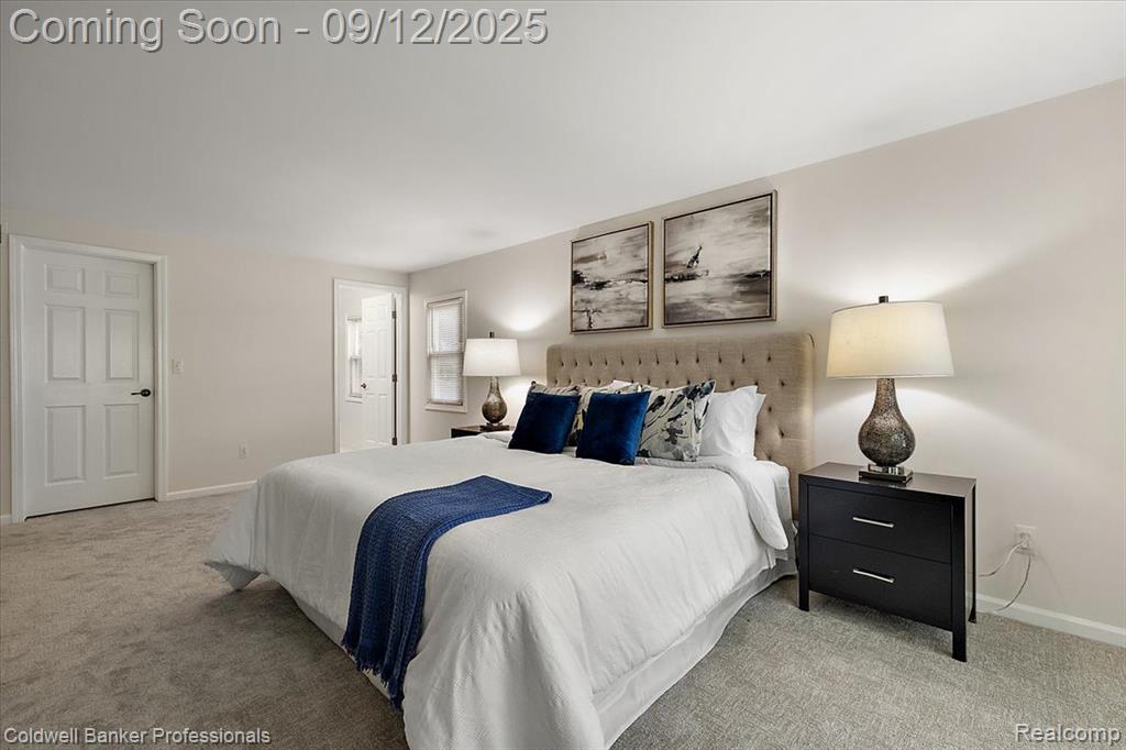 49238 Plum Tree Drive, Plymouth, MI 48170 — Photo 50