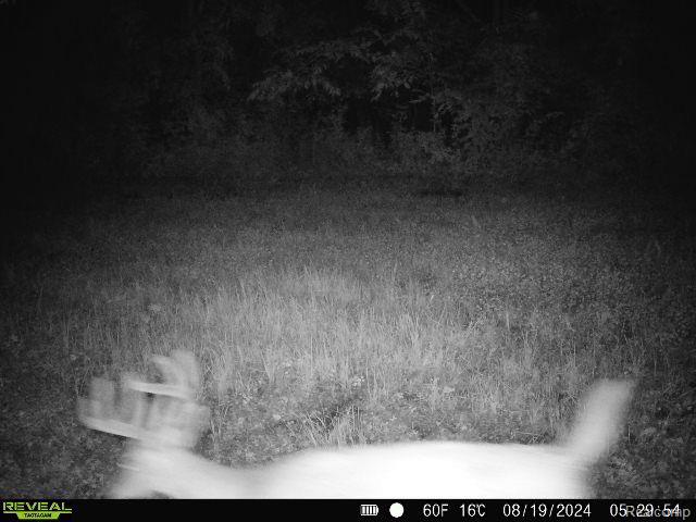 V/L BLAKE Road, Jackson, MI 49201 — Photo 79