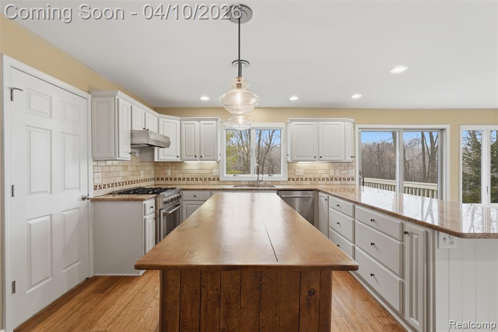 2181 Trillium Woods Drive, Ann Arbor, MI 48105 — Photo 14