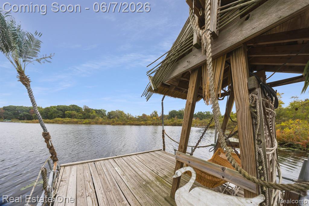 200 E CANYON Drive, Milford, MI 48380 — Photo 47