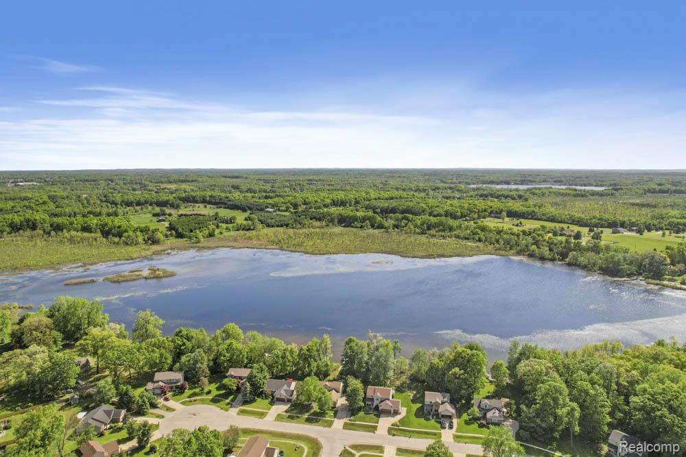 9450 SANDLEWOOD Court, Whitmore Lake, MI 48189 — Photo 4
