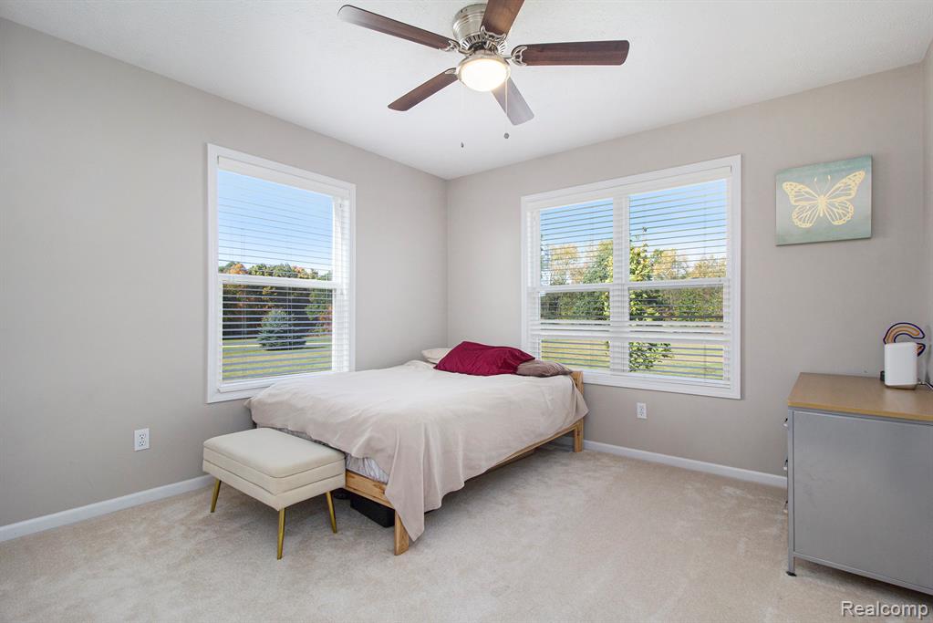 703 N Hughes Road, Howell, MI 48843 — Photo 19