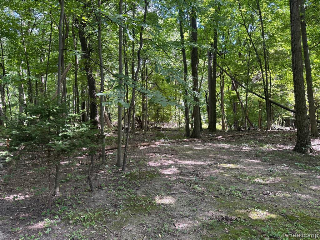 3711 Baldwin Road, Metamora, MI 48455 — Photo 67
