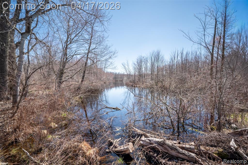825 W Rose Center Road, Holly, MI 48442 — Photo 8