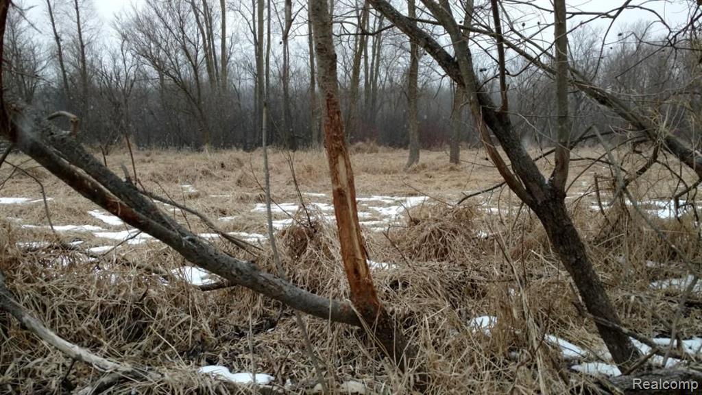 V/L BLAKE Road, Jackson, MI 49201 — Photo 67