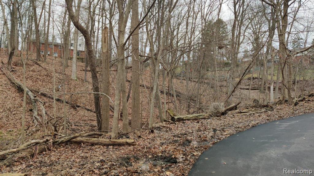Lot 149 Breer Court, Bloomfield Hills, MI 48302 — Photo 3