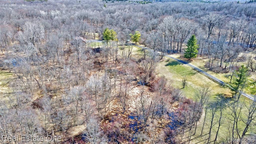 5307 Metamora Road, Metamora, MI 48455 — Photo 54
