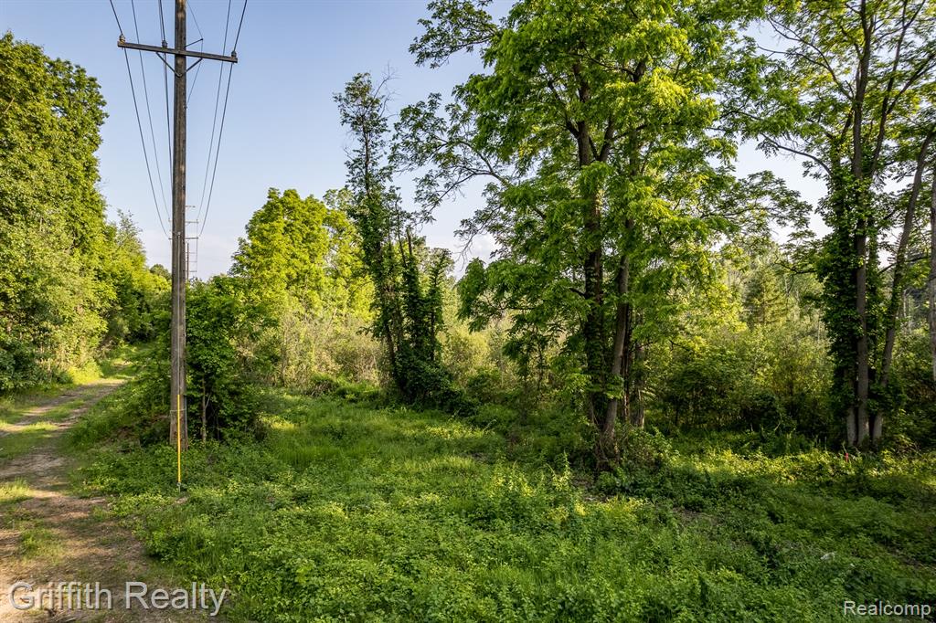 4433 Brighton Parcel C Road, Howell, MI 48843 — Photo 12