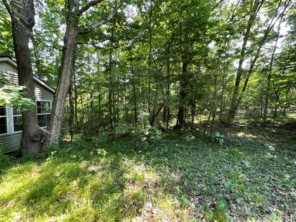 3425 Sutton Road, Dryden, MI 48428 — Photo 47