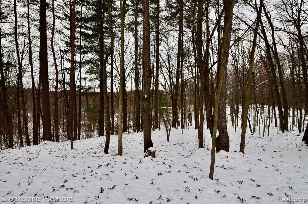 5365 Jacobs Drive, Holly, MI 48442 — Photo 3