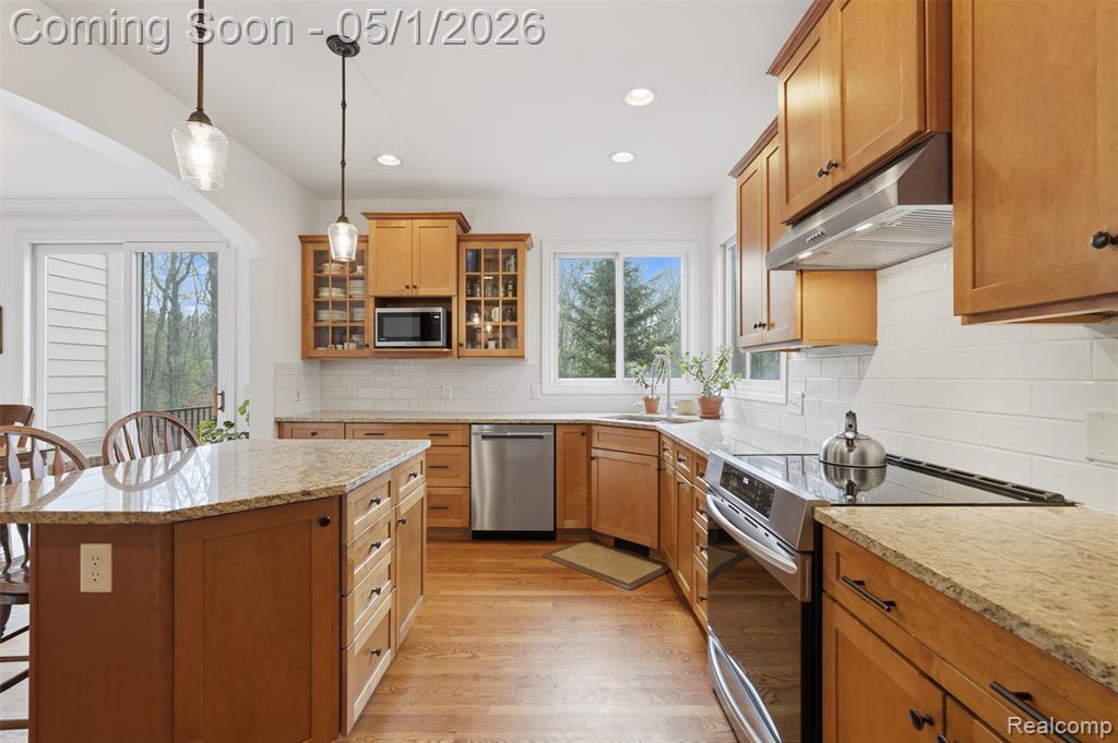 9028 Green Hickory Lane, Fenton, MI 48430 — Photo 18