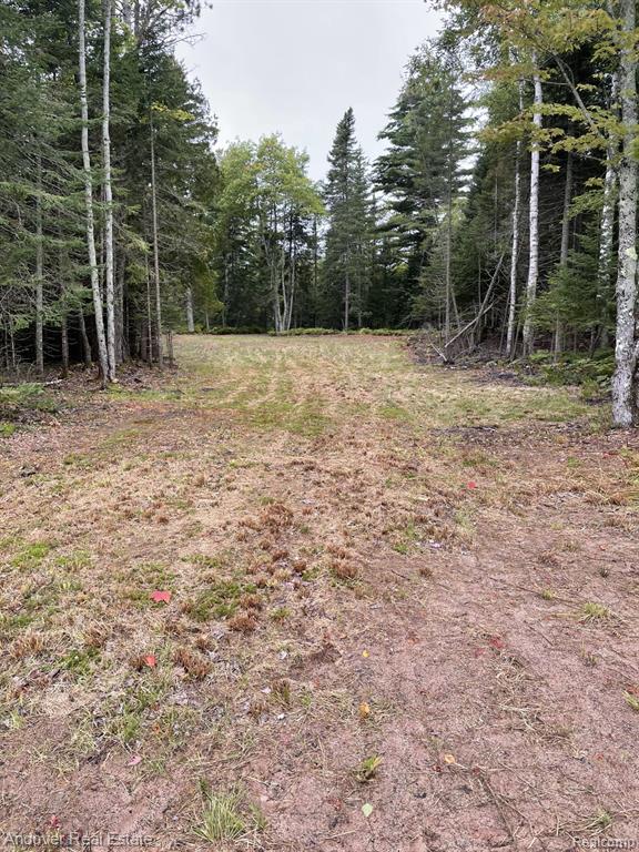 Lot# 11 Western, MI — Photo 10