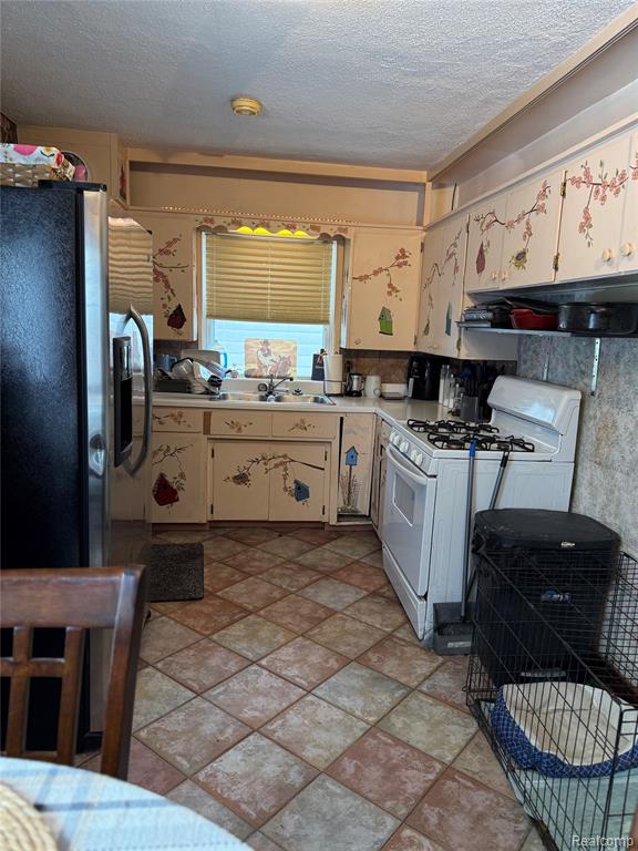 766 Louisa Street, Mount Morris, MI 48458 — Photo 6