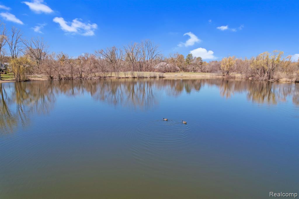 6655 MOUNTAIN Drive, Troy, MI 48098 — Photo 47