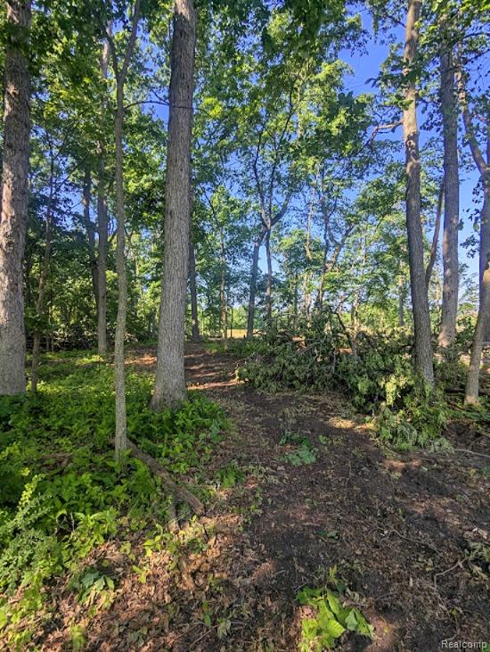 Parcel A - Rolston Road, Linden, MI 48451 — Photo 16
