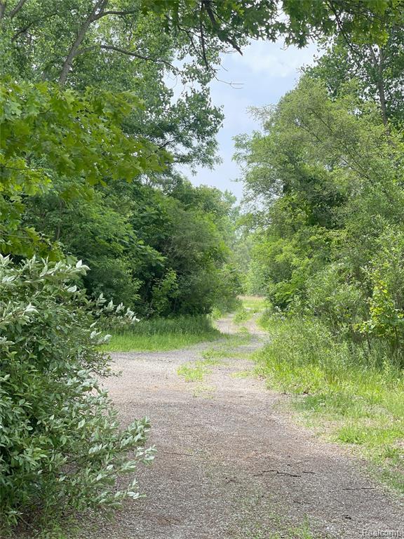 9885 CEDAR ISLAND Road, White Lake, MI — Photo 4