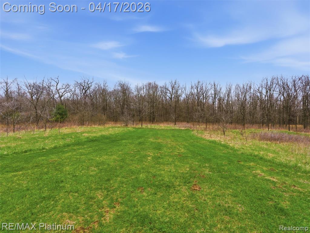 13250 Seymour Road, Gaines Vlg, MI 48436 — Photo 84