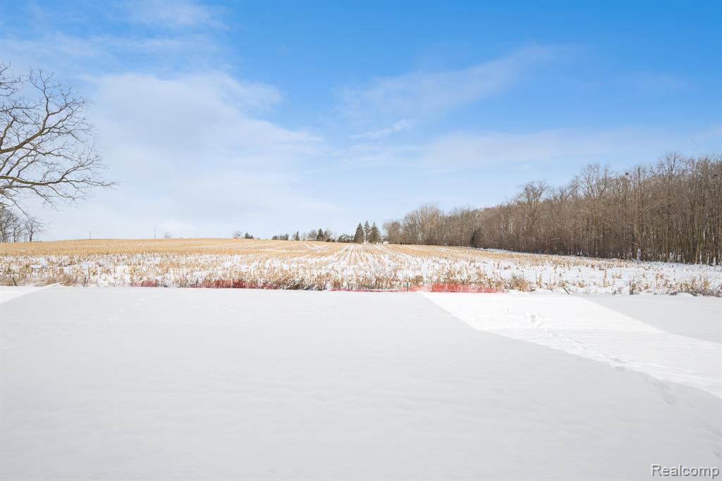 27108 Silo Drive, Saline, MI 48176 — Photo 35