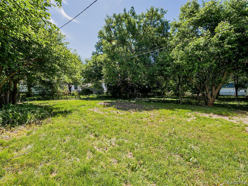 17424 Salem Street, Detroit, MI 48219 — Photo 15