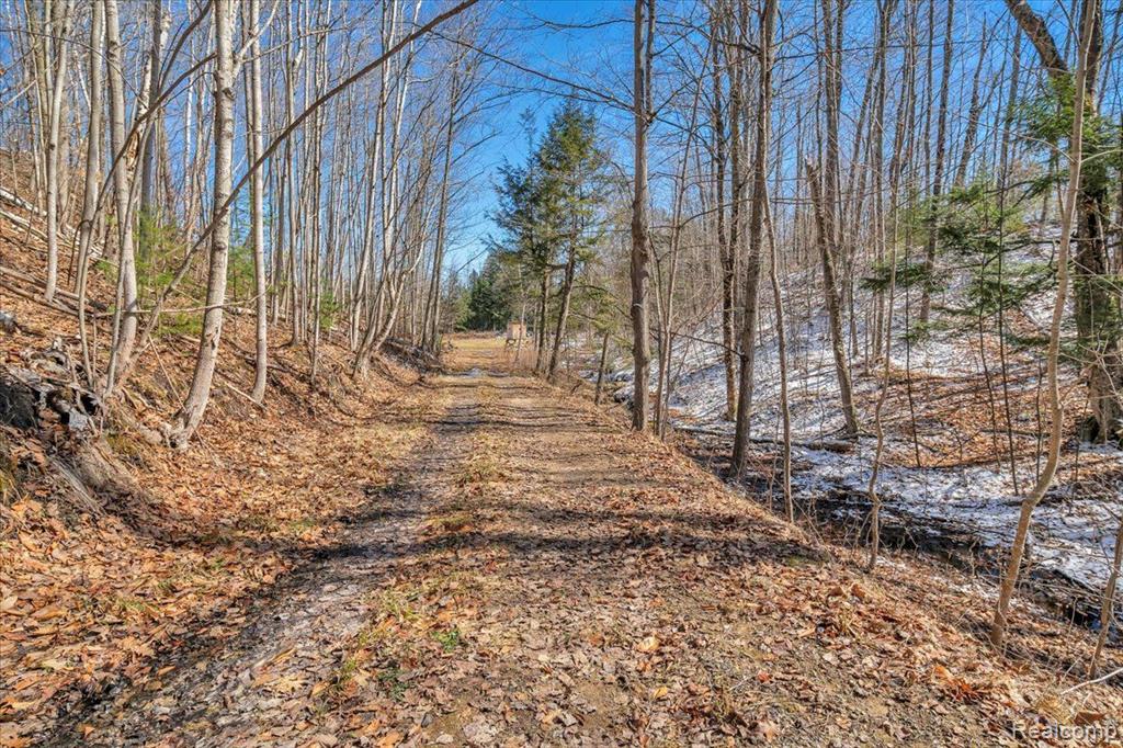 5300 E Alcona Road, Harrisville, MI 48740 — Photo 48