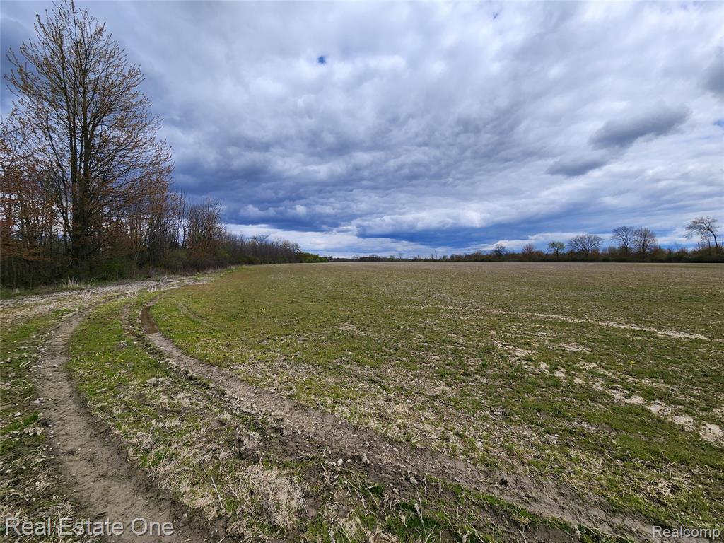 2320 Braidwood Road, Riley, MI — Photo 18