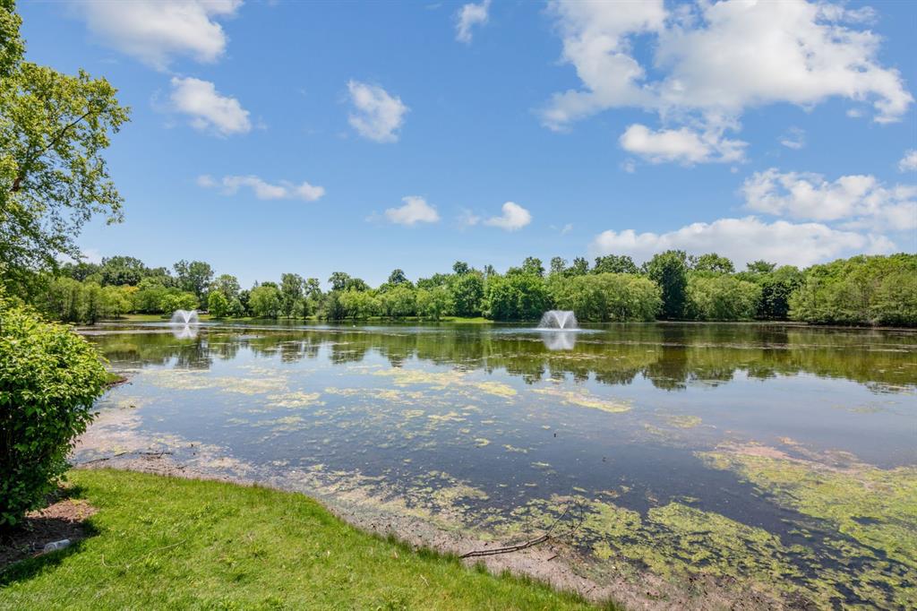 50424 LIVINGSTON Drive, Northville, MI 48168 — Photo 51