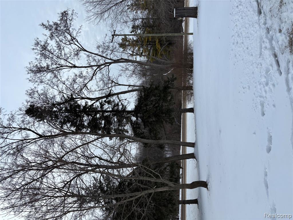 4225 Baldwin Road, Metamora, MI 48455 — Photo 3