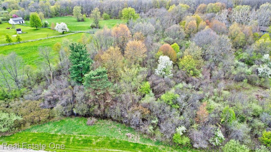 590 Judi Ann Lane, Holly, MI 48442 — Photo 3