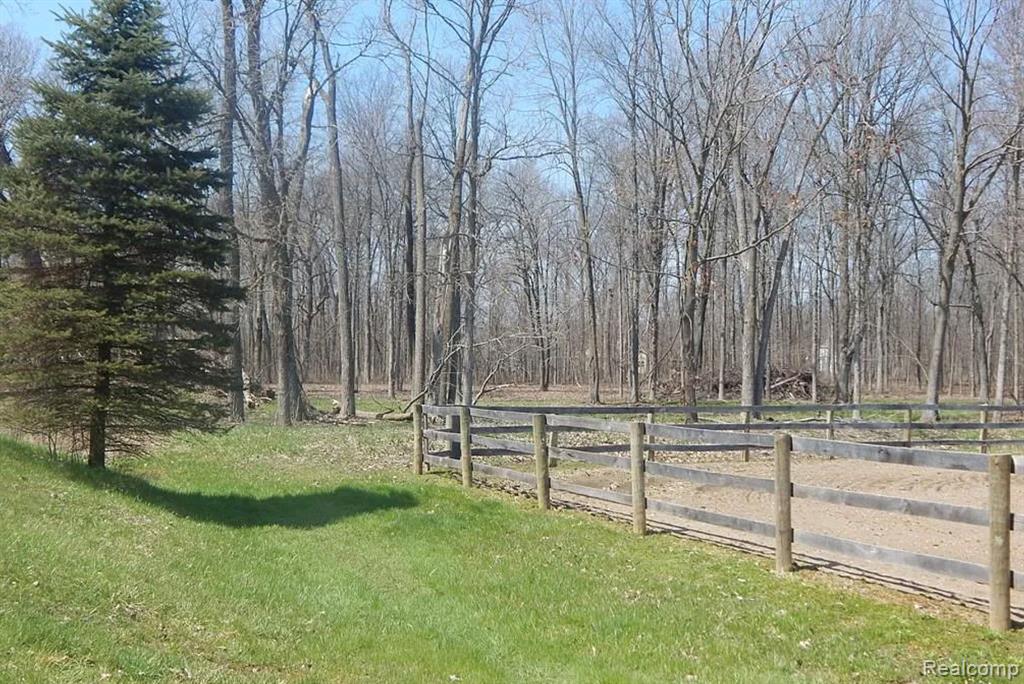 4441 Mack Road, Howell, MI 48855 — Photo 7
