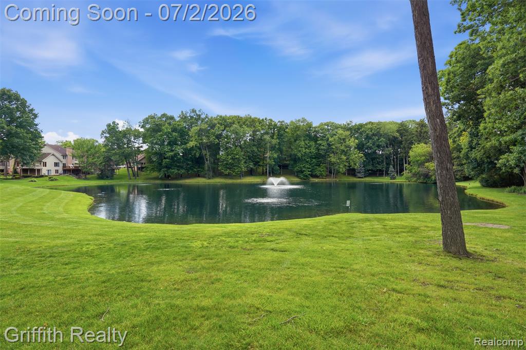 4603 Golf View Drive, Brighton, MI 48116 — Photo 38