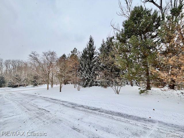 28560 CARLTON WAY Drive, Novi, MI 48377 — Photo 2