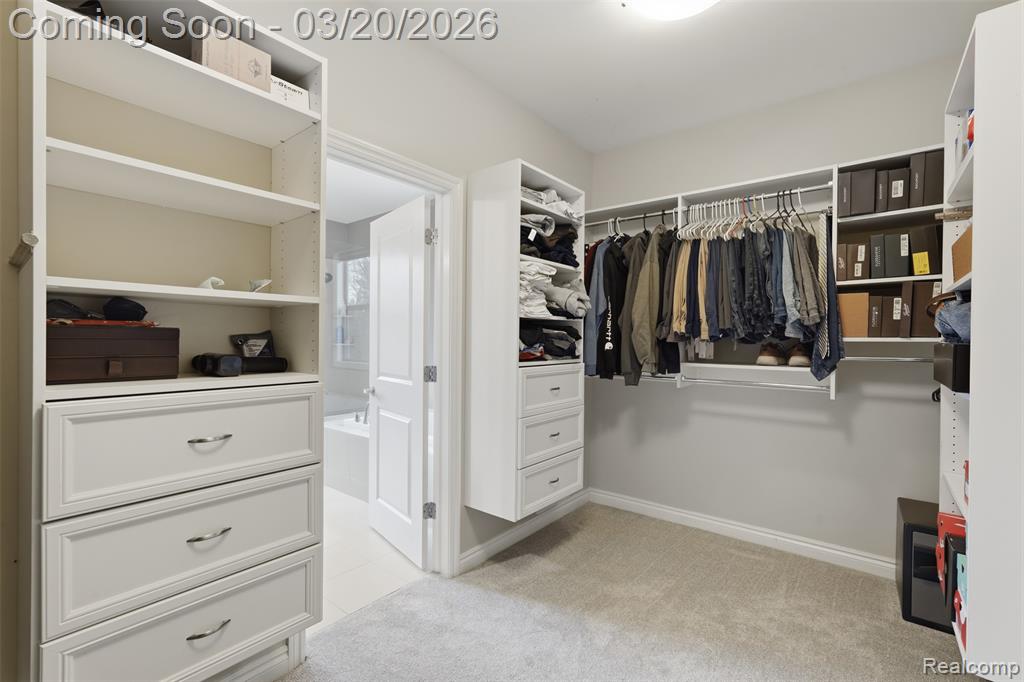 10487 Piedmont Drive, Brighton, MI 48114 — Photo 26