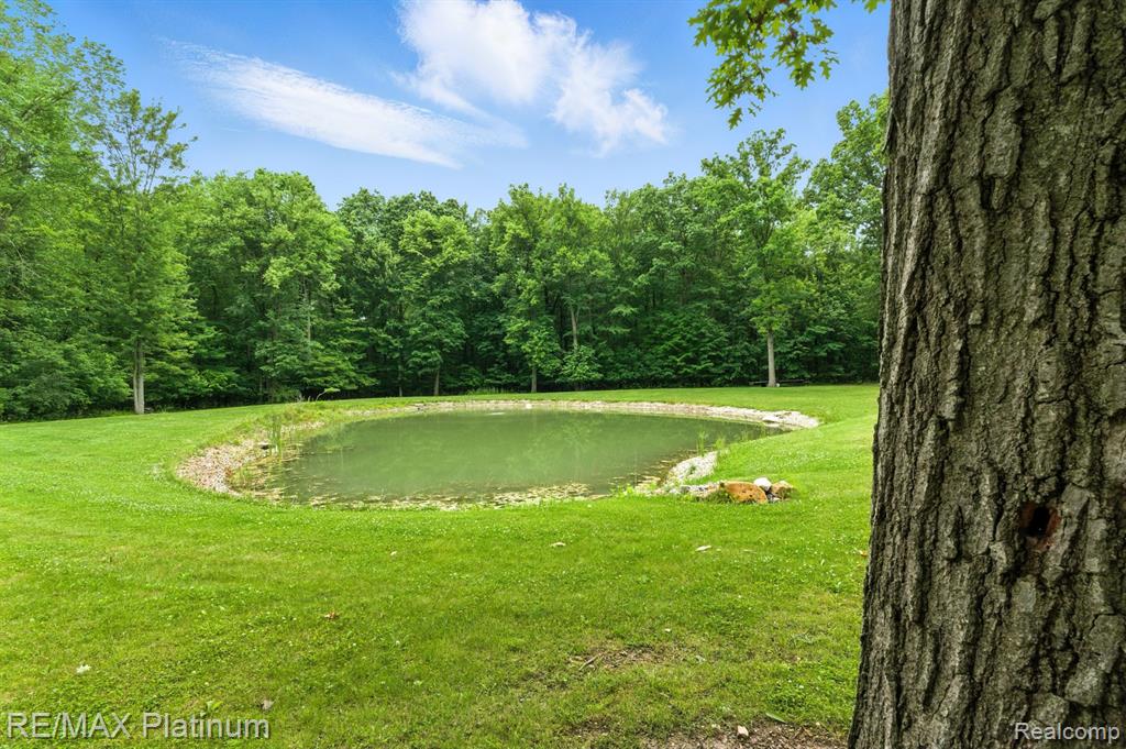 11600 Mount Hope Road, Munith, MI 49259 — Photo 51