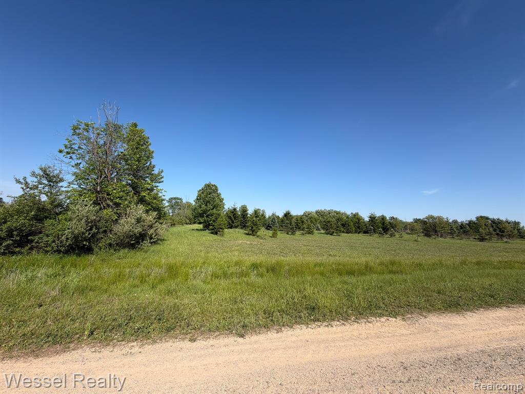 0 Windmill Lane, Imlay City, MI 48444 — Photo 8
