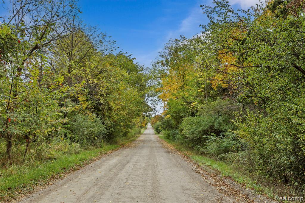 6060 Vreeland Road, Superior, MI 48198 — Photo 43