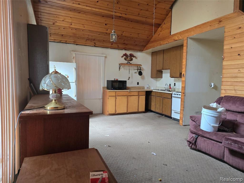 9027 S Lost Pine Avenue, Baldwin, MI 49304 — Photo 7