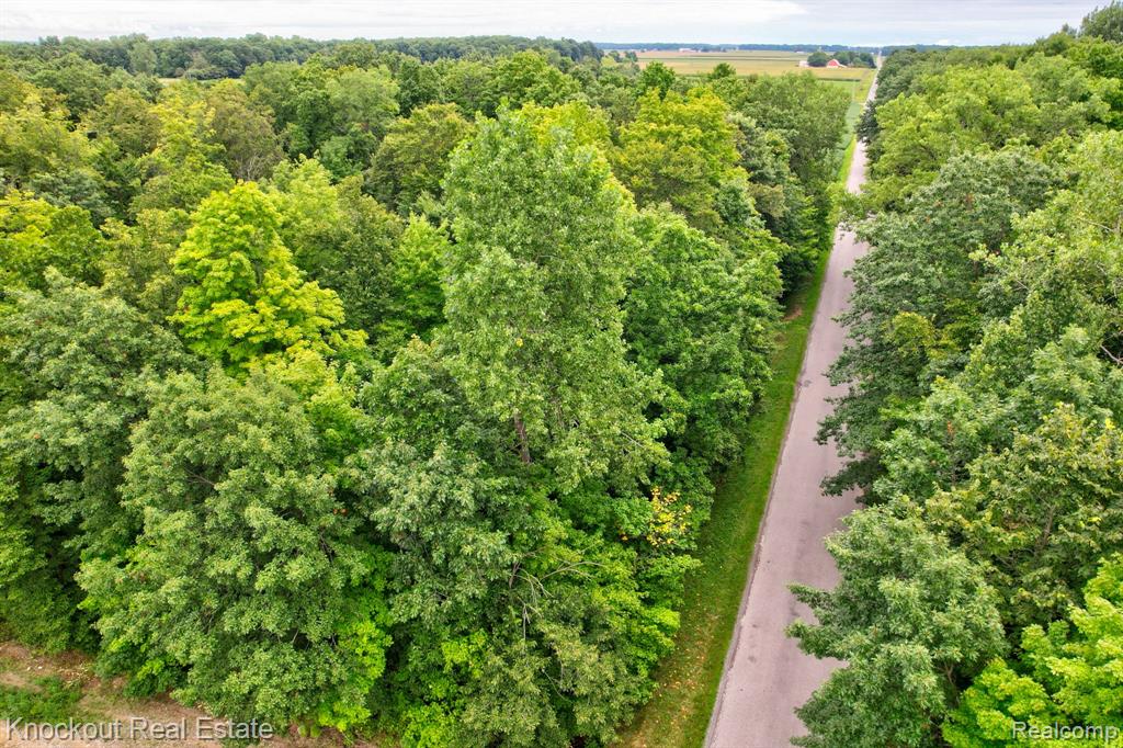 8000 Roedel Road, Frankenmuth, MI 48734 — Photo 15